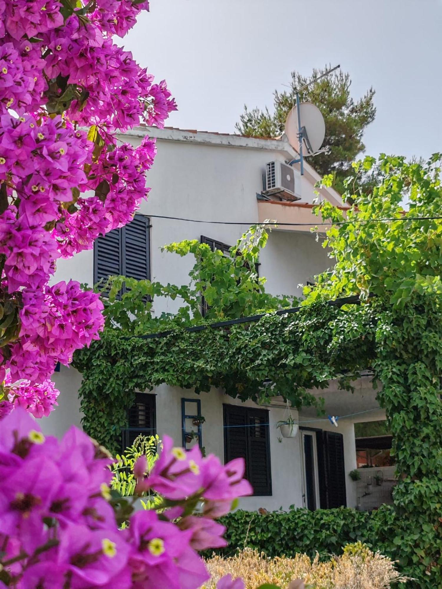 Apartments Markotic Клек Екстериор снимка